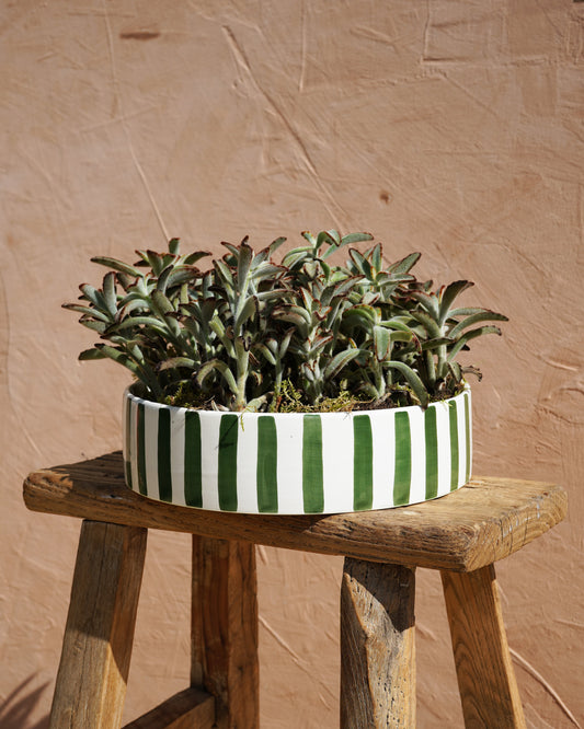 Handmade Green Striped Ceramic Dish