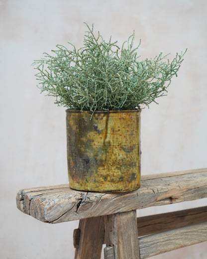 Vintage Tamegroute Planter/Pot - Shaded Ochre