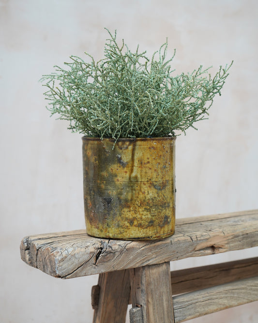 Vintage Tamegroute Planter/Pot - Shaded Ochre