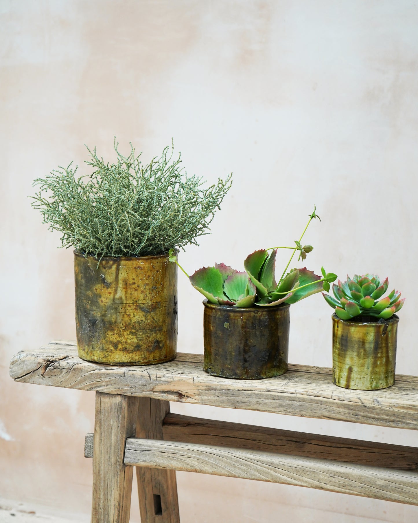 Vintage Tamegroute Planter/Pot - Shaded Ochre